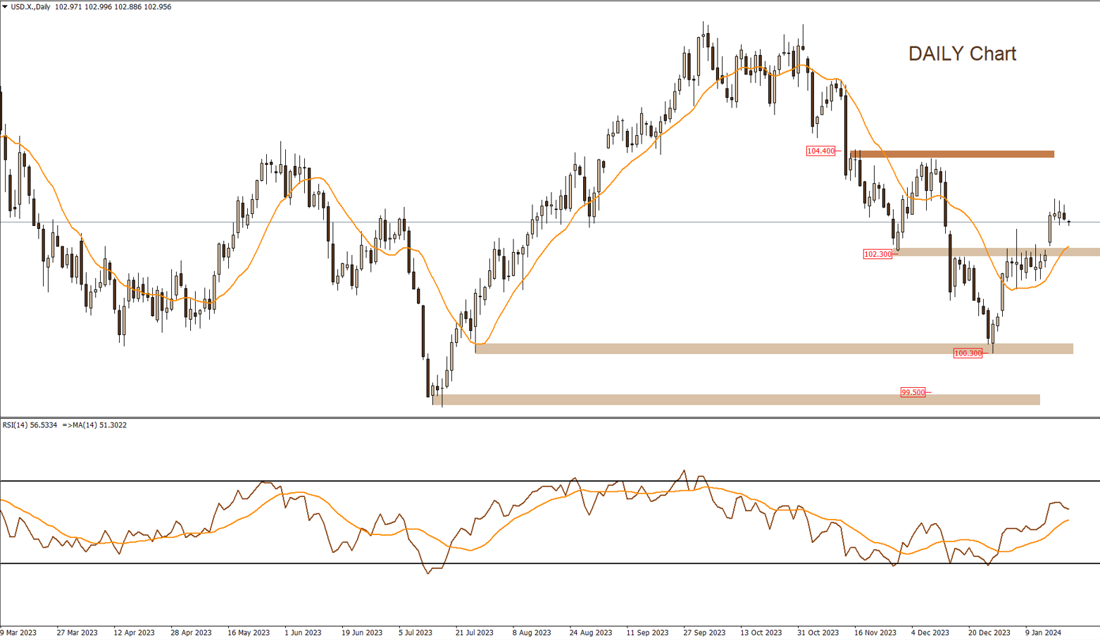 DOLLAR INDEX 22-1-2024